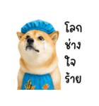 可愛い柴犬のシャワー服（個別スタンプ：29）