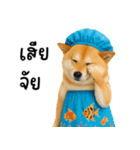 可愛い柴犬のシャワー服（個別スタンプ：30）