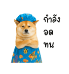 可愛い柴犬のシャワー服（個別スタンプ：36）