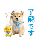 ⚡飛び出す柴犬の「夏」の毎日（個別スタンプ：2）
