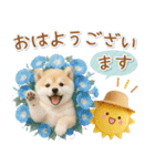 ⚡飛び出す柴犬の「夏」の毎日（個別スタンプ：5）