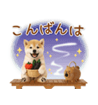 ⚡飛び出す柴犬の「夏」の毎日（個別スタンプ：7）