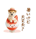 ⚡飛び出す柴犬の「夏」の毎日（個別スタンプ：10）