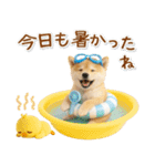 ⚡飛び出す柴犬の「夏」の毎日（個別スタンプ：15）