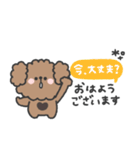 待ち合わせ連絡◎トイプードルさん #1（個別スタンプ：1）