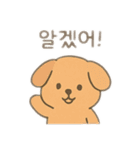 可愛い動物達 韓国語（個別スタンプ：4）