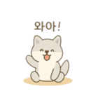 可愛い動物達 韓国語（個別スタンプ：25）