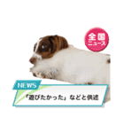 カグラくんスタンプ14（個別スタンプ：2）
