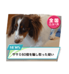カグラくんスタンプ14（個別スタンプ：5）
