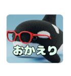 眼鏡をかけたシャチスタンプ（個別スタンプ：4）