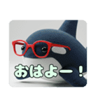 眼鏡をかけたシャチスタンプ（個別スタンプ：10）