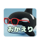 眼鏡をかけたシャチプレミアム（個別スタンプ：12）