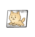 アニメのようなモフ猫（個別スタンプ：1）