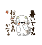 動くシーズー犬 2025 「丁寧な長文」19（個別スタンプ：3）