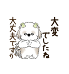 動くシーズー犬 2025 「丁寧な長文」19（個別スタンプ：4）