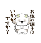 動くシーズー犬 2025 「丁寧な長文」19（個別スタンプ：6）