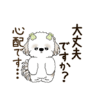 動くシーズー犬 2025 「丁寧な長文」19（個別スタンプ：7）