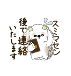 動くシーズー犬 2025 「丁寧な長文」19（個別スタンプ：10）
