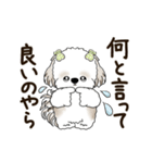 動くシーズー犬 2025 「丁寧な長文」19（個別スタンプ：11）