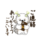 動くシーズー犬 2025 「丁寧な長文」19（個別スタンプ：13）