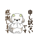 動くシーズー犬 2025 「丁寧な長文」19（個別スタンプ：15）