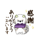 動くシーズー犬 2025 「丁寧な長文」19（個別スタンプ：17）