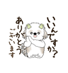 動くシーズー犬 2025 「丁寧な長文」19（個別スタンプ：18）