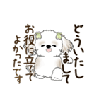 動くシーズー犬 2025 「丁寧な長文」19（個別スタンプ：19）