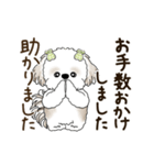 動くシーズー犬 2025 「丁寧な長文」19（個別スタンプ：22）