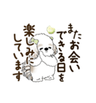 動くシーズー犬 2025 「丁寧な長文」19（個別スタンプ：24）