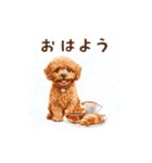 トイプードルゆるっと毎日アニメーション（個別スタンプ：1）