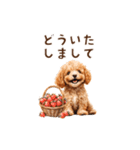 トイプードルゆるっと毎日アニメーション（個別スタンプ：6）
