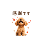 トイプードルゆるっと毎日アニメーション（個別スタンプ：7）