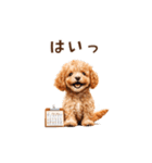 トイプードルゆるっと毎日アニメーション（個別スタンプ：9）
