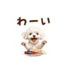トイプードルゆるっと毎日アニメーション（個別スタンプ：13）