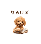 トイプードルゆるっと毎日アニメーション（個別スタンプ：15）