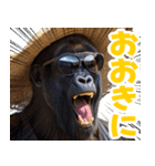 サングラスしたゴリラの夏【関西弁☆煽り】（個別スタンプ：3）
