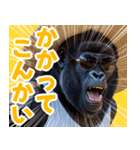 サングラスしたゴリラの夏【関西弁☆煽り】（個別スタンプ：5）