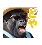 サングラスしたゴリラの夏【関西弁☆煽り】（個別スタンプ：10）