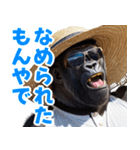 サングラスしたゴリラの夏【関西弁☆煽り】（個別スタンプ：11）
