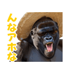 サングラスしたゴリラの夏【関西弁☆煽り】（個別スタンプ：14）