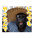 サングラスしたゴリラの夏【関西弁☆煽り】（個別スタンプ：15）