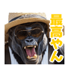 サングラスしたゴリラの夏【関西弁☆煽り】（個別スタンプ：23）
