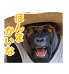 サングラスしたゴリラの夏【関西弁☆煽り】（個別スタンプ：27）