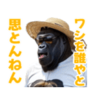 サングラスしたゴリラの夏【関西弁☆煽り】（個別スタンプ：35）