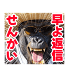 サングラスしたゴリラの夏【関西弁☆煽り】（個別スタンプ：40）