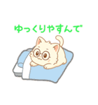 もちねこ先生のやさしさスタンプ（個別スタンプ：12）