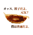 毎日使える面白餃子（個別スタンプ：1）