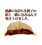 毎日使える面白餃子（個別スタンプ：5）