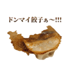 毎日使える面白餃子（個別スタンプ：9）
